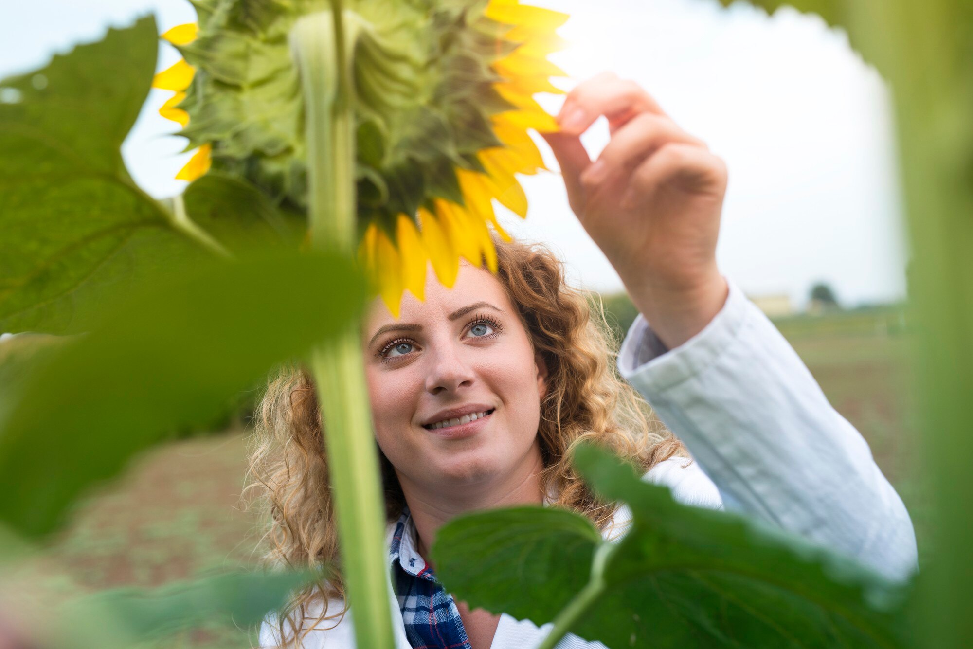 young-pretty-expert-agronomist-sunflower-field-checking-crops-quality_342744-580-1